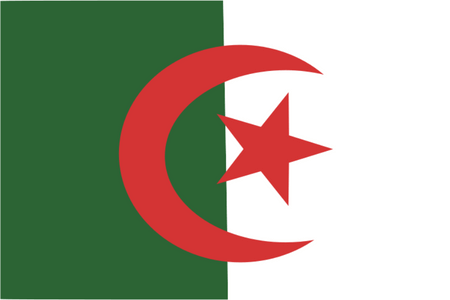 Panel badania rynku online w Algierii
