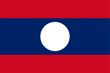 Panel badania rynku w Laosie