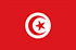 Panel badania rynku online w Tunezji