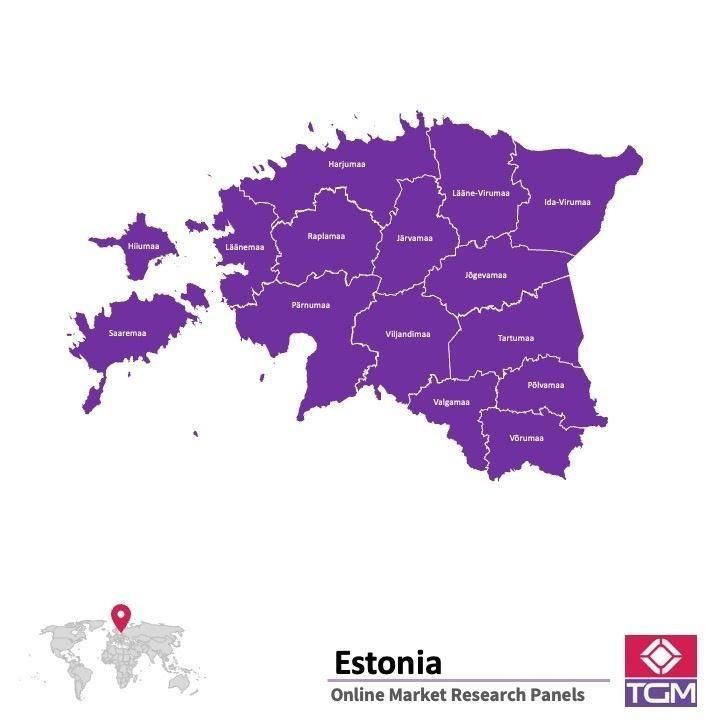 Panel badawczy online w Estonii |  Badania rynku w Estonii
