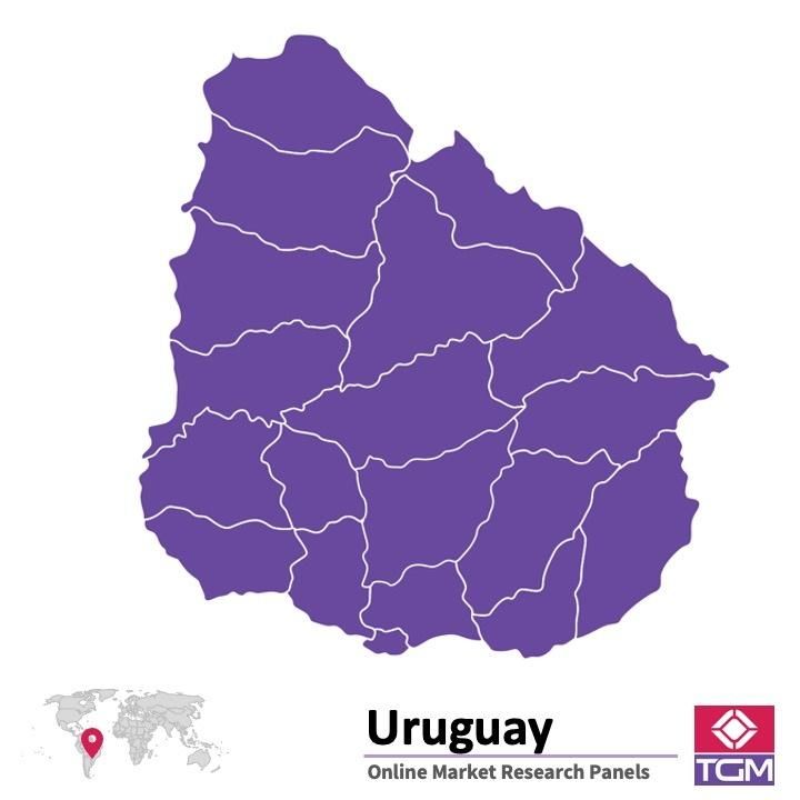 Panel badawczy online w Urugwaju |  Badania rynku w Urugwaju