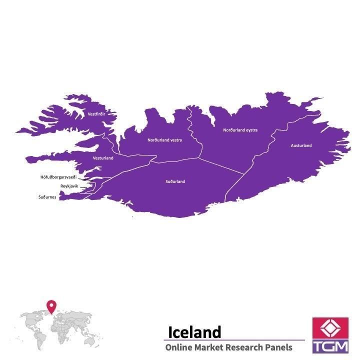 Panel badawczy online w Islandii |  Badania rynku w Islandii