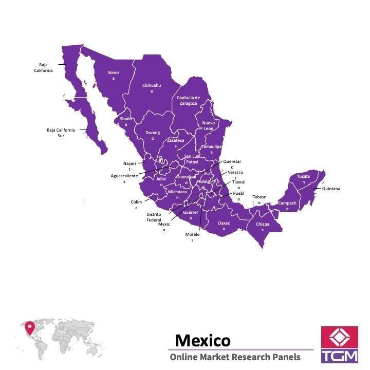 Panel badawczy online w Meksyku |  Badania rynku w Meksyku