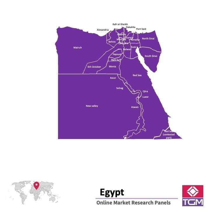 Panel badawczy online w Egipcie |  Badania rynku w Egipcie