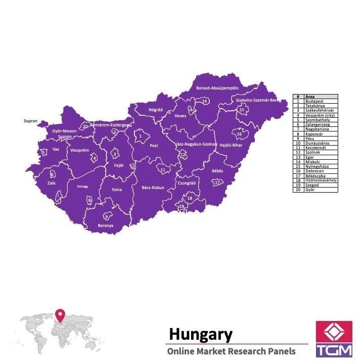 Panel badawczy online w Węgrzech |  Badania rynku w Węgrzech